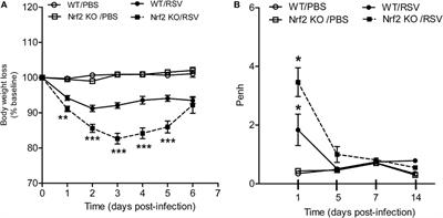 Protective Role of Nuclear Factor Erythroid 2-Related Factor 2 Against Respiratory Syncytial Virus and Human Metapneumovirus Infections